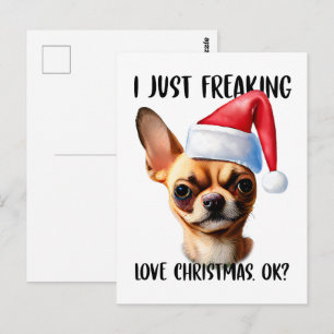 Cartão Postal Chihuahua, Eu Só Estraguei O Natal Ok Xmas