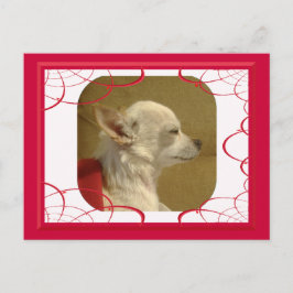 Cartão postal Chihuahua fractal
