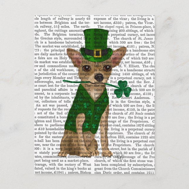 Cartão Postal Chihuahua Leprechaun (Frente)
