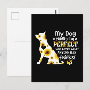 Cartão Postal Chihuahua Meu Cachorro pensa que sou perfeito que