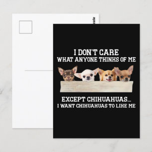 Cartão Postal Chihuahua Não me importo com o que pensam de mim