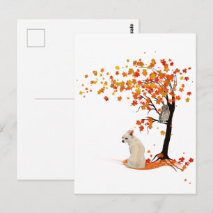 Cartão Postal Chihuahua Owl E Chall Tree Chihuahua No Outono