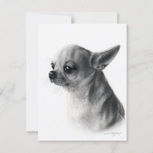 Cartão Postal Chihuahua Pintou Retrato De Cachorro