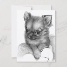 Cartão Postal Chihuahua Puppy Pintado Pela Mão - Cavalo