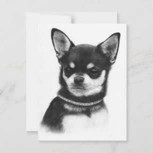 Cartão Postal Chihuahua Royalty - Trabalho de arte pintada para 