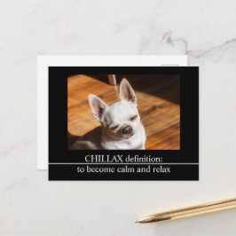 Cartão Postal Chillax Chihuahua sonolento língua relaxada Foto
