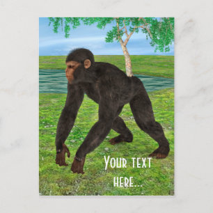 Cartão Postal Chimpanzé