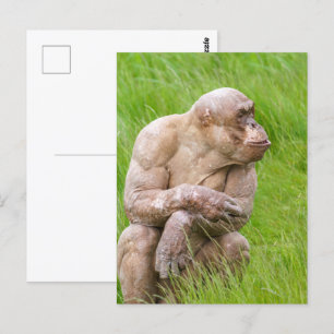 Cartão Postal Chimpanzé careca