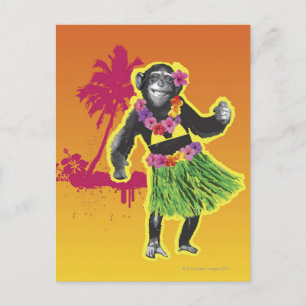 Cartão Postal Chimpanzee Hula Dancing