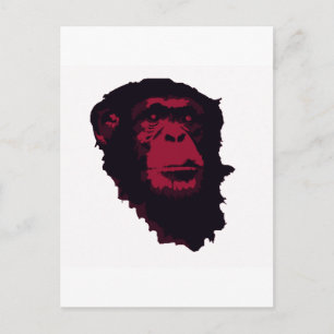 CARTÃO POSTAL CHIMPANZÉS SÃO INCRÍVEIS