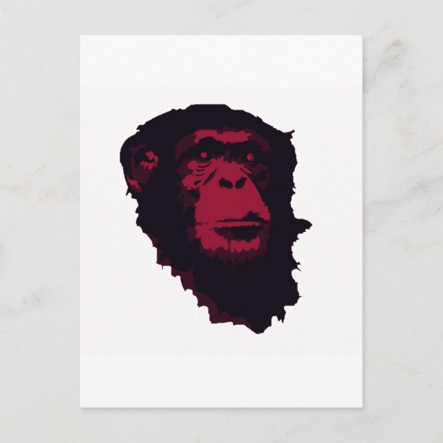 CARTÃO POSTAL CHIMPANZÉS SÃO INCRÍVEIS (Frente)