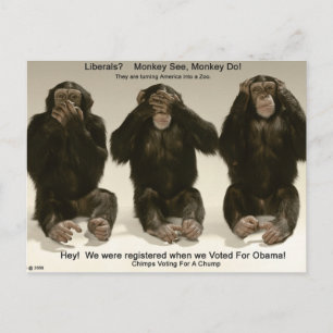 Cartão Postal Chimps Para Uma Bomba