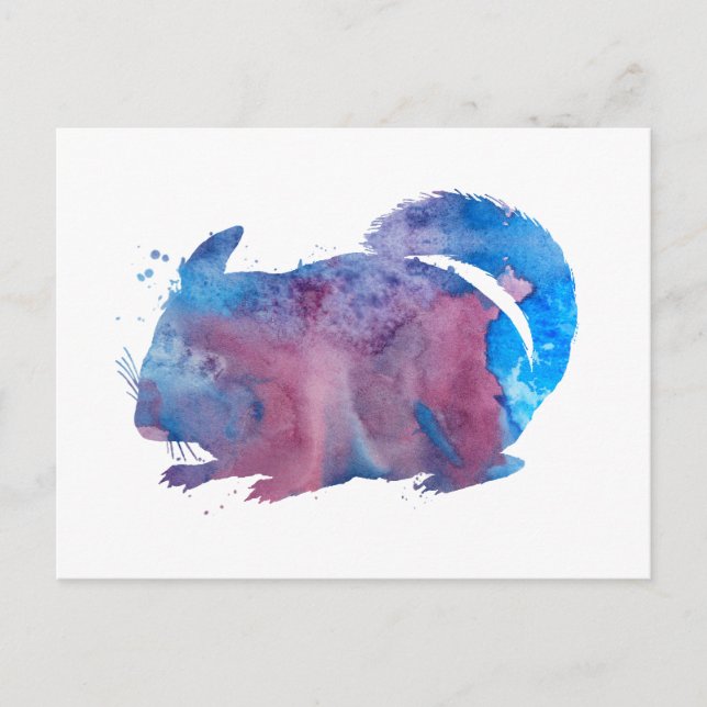 Cartão Postal Chinchilla (Frente)