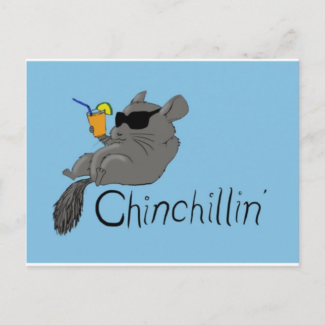 Cartão Postal chinchillin (Frente)