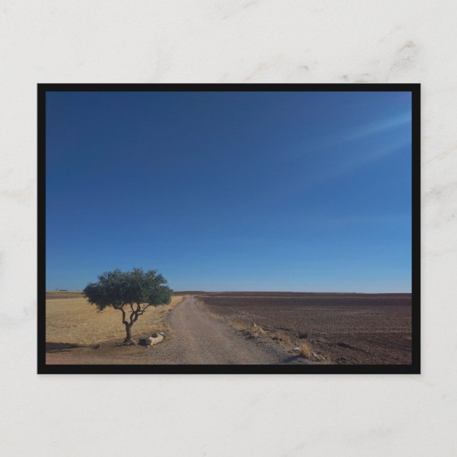 Cartão Postal Chinchon (Espanha) (Frente)