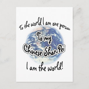Cartão Postal Chinês Shar-Pei World 2