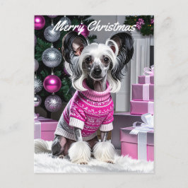 Cartão Postal Chinese Crested Christmas