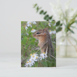 Cartão Postal Chipmunk Adorável das flores