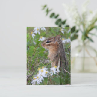 Cartão Postal Chipmunk Adorável das flores