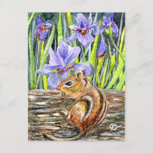 Cartão Postal Chipmunk and Irises