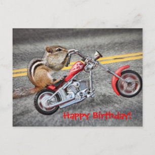 Cartão Postal Chipmunk Biker dirigindo uma motocicleta
