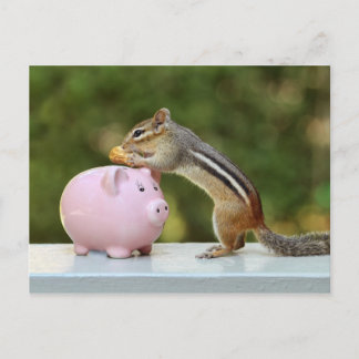 Cartão Postal Chipmunk Bonito com Imagem Bancária de Dinheiro En