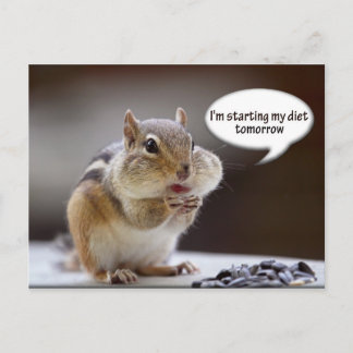 Cartão Postal Chipmunk em uma foto de dieta