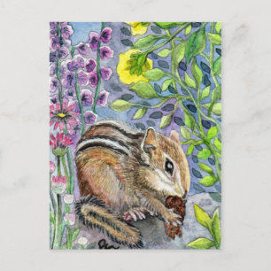 Cartão Postal Chipmunk no Jardim