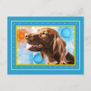 Cartão Postal Chiquilla - Irish Setter -3