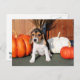 Cartão Postal Chloe - Beagle Photo-1 (Frente/Verso)