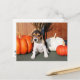 Cartão Postal Chloe - Beagle Photo-1 (Frente/Verso In Situ)