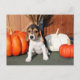 Cartão Postal Chloe - Beagle Photo-1 (Frente)