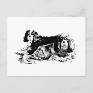 Cartão postal Chloe e Ollie