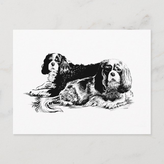 Cartão postal Chloe e Ollie (Frente)