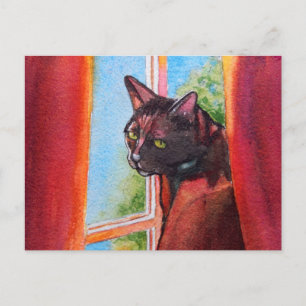 Cartão Postal Chocolate Black Cat com cortinas
