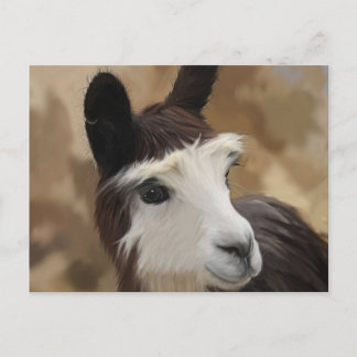 Cartão Postal Chocolate e Alpaca branca