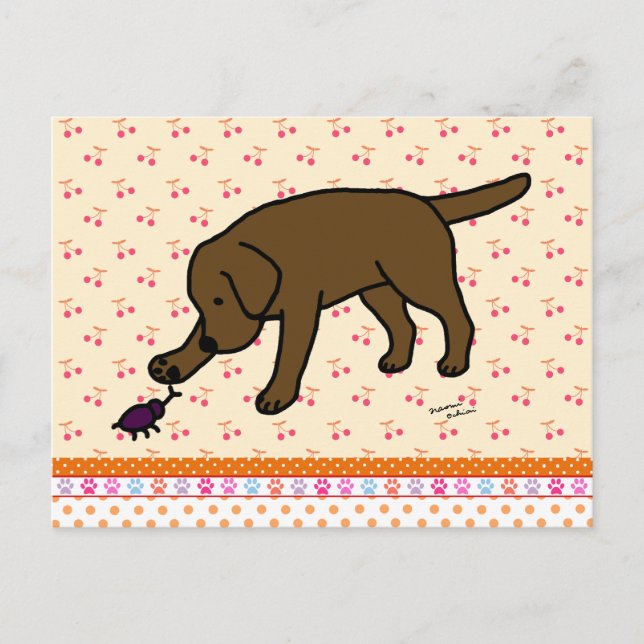 Cartão Postal Chocolate Labrador Amigável (Frente)