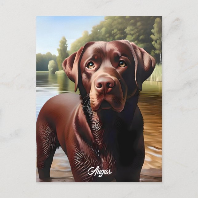 Cartão Postal Chocolate Labrador e Lago (Frente)