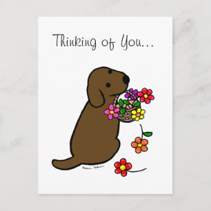 Cartão Postal Chocolate Labrador Puppy Flower Basket Cartoon