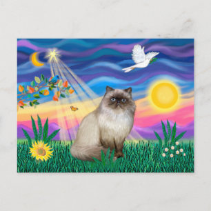 Cartão Postal Chocolate Point Himalayan Cat.