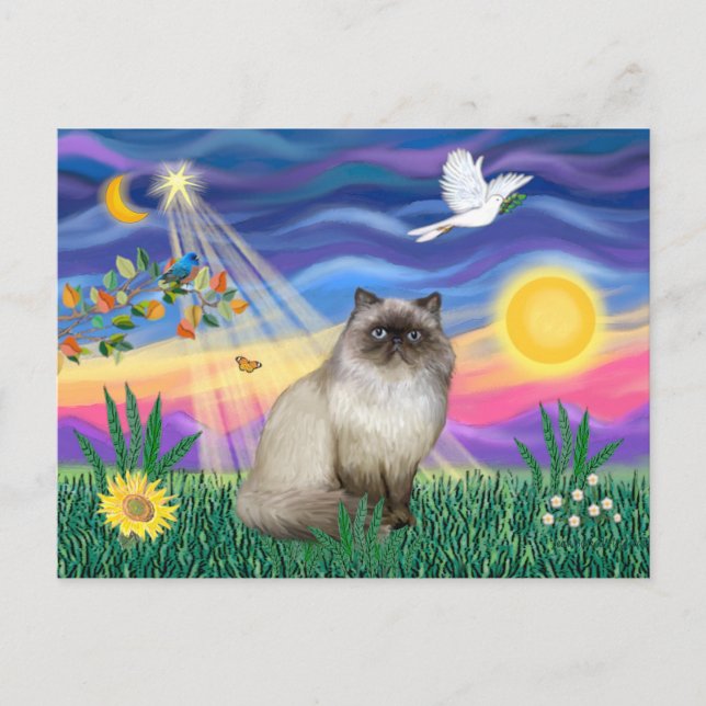 Cartão Postal Chocolate Point Himalayan Cat. (Frente)