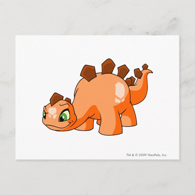 Cartão Postal Chomby Orange (Frente)