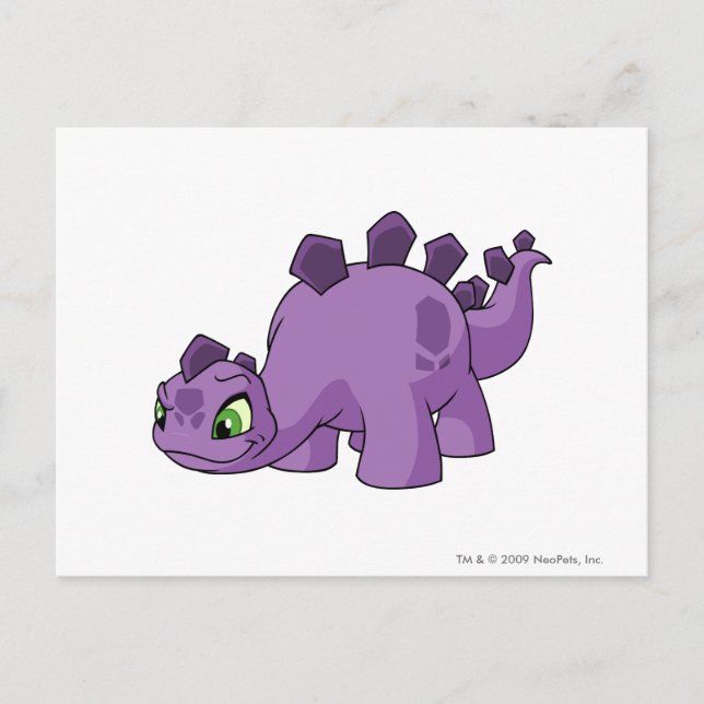 Cartão Postal Chomby Purple (Frente)