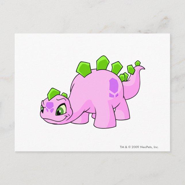 Cartão Postal Chomby Rosa (Frente)