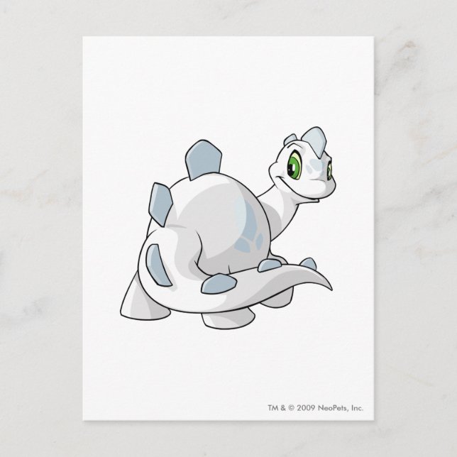 Cartão Postal Chomby White (Frente)