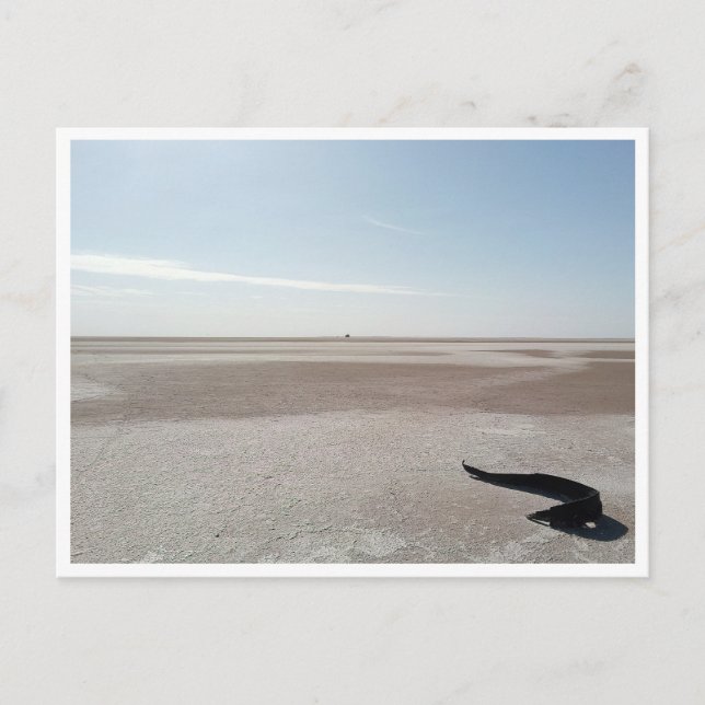 Cartão Postal Chott el Djerid (Tunísia) (Frente)