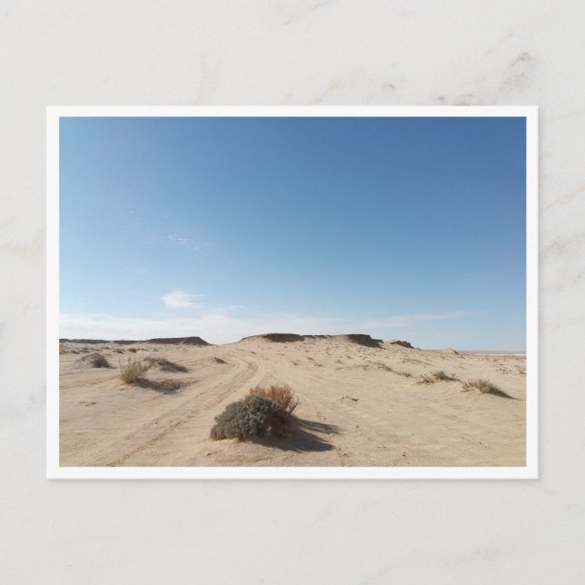Cartão Postal Chott el Gharsa (Tunísia) (Frente)