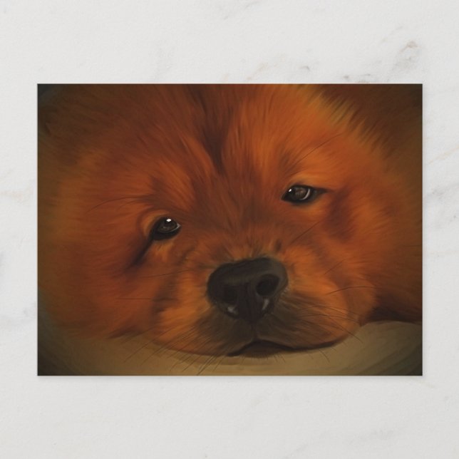 Cartão Postal Chow Chow (Frente)