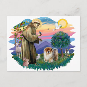 Cartão Postal Chow Chow (B)