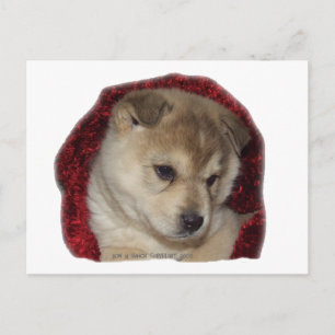 Cartão Postal Chow Puppy em Red Scarf